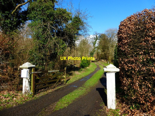 Photo 6"x4" Gate and driveway at Petersfield Lodge Privett\/SU6726 c2014