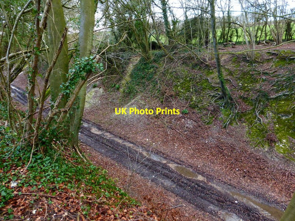 Photo 6"x4" Track in disused railway cutting Bailey Green c2014