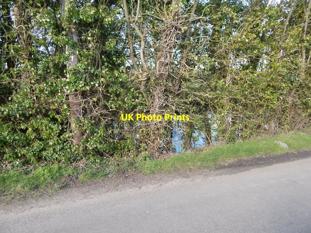 Photo 6"x4" Pond and telegraph pole opposite The Grove, Priory Green Edwardstone c2014