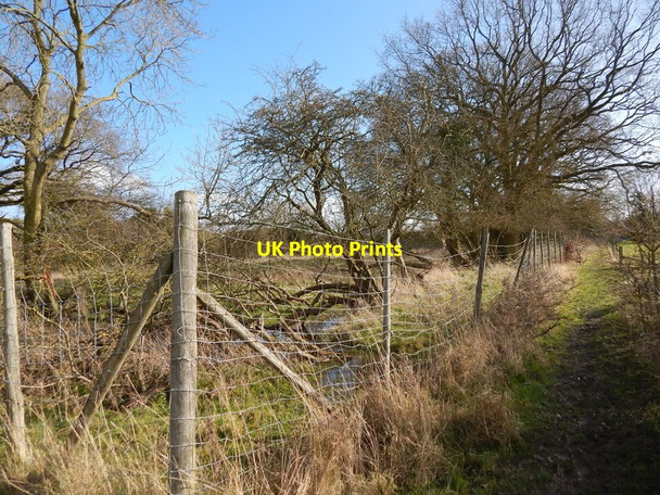 Photo 6"x4" Fence in Priory Green near the crane Priory Green c2014