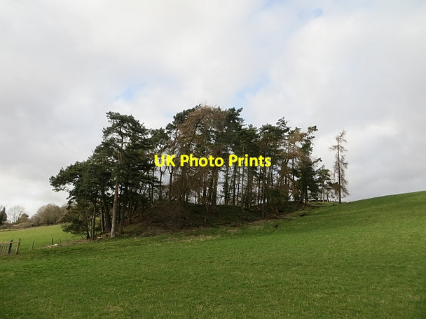 Photo 6"x4" Wooded spur near Pictfield Westfields of Rattray c2014