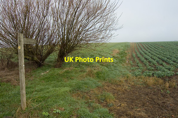 Photo 6"x4" Weghill footpath, near Preston Hedon c2014
