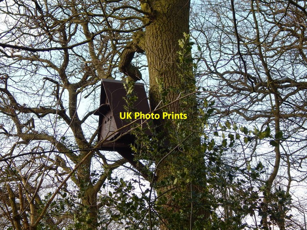 Photo 6"x4" Box in Mill Wood Mill Green\/TL9542 c2014