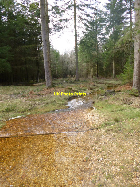 Photo 6"x4" Milkham Inclosure, Linford Brook Linwood\/SU1809 c2014