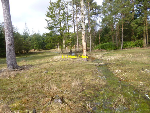 Photo 6"x4" Milkham Bottom, brook Linwood\/SU1809 c2014