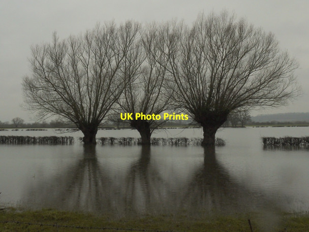 Photo 6"x4" Three Willows Bishop's Norton c2014