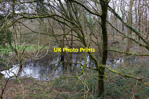 Photo 6"x4" Pond at eastern corner of Bishopstoke Cemetery Eastleigh\/SU4519 c2014