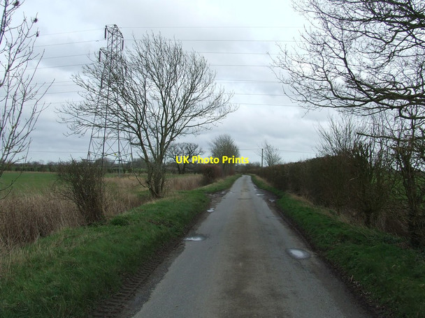 Photo 6"x4" Power Lines Maypole Green\/TM2767 c2014
