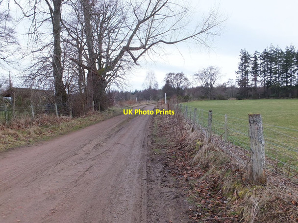Photo 6"x4" Farm and forestry track, Arpafeelie Arpafeelie c2014