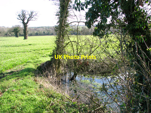 Photo 6"x4" Small pond beside High Road Hapton\/TM1796 c2014