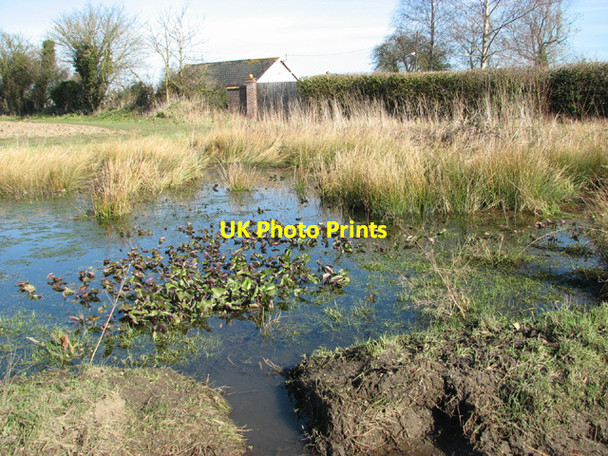 Photo 6"x4" Pond by St Mary's Cottage Tacolneston c2014