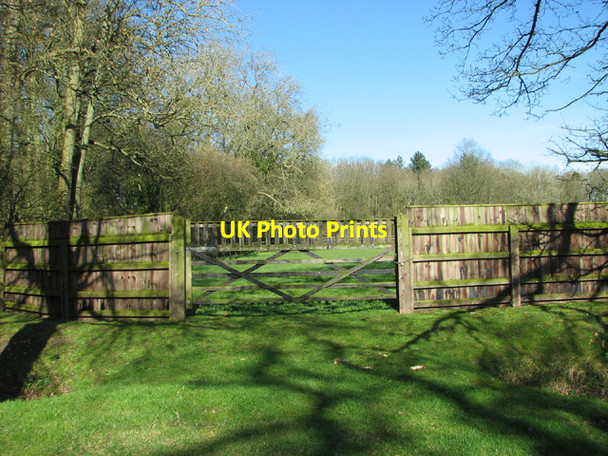 Photo 6"x4" Field gate by Wattlefield Stud Wattlefield c2014