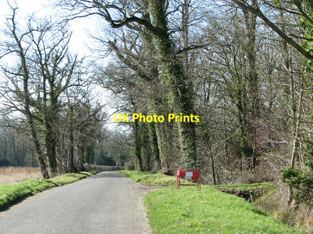 Photo 6"x4" Wattlefield Road past Ted's Plantation Wattlefield c2014
