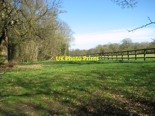 Photo 6"x4" Paddock by Joe's Plantation Bunwell Bottom c2014