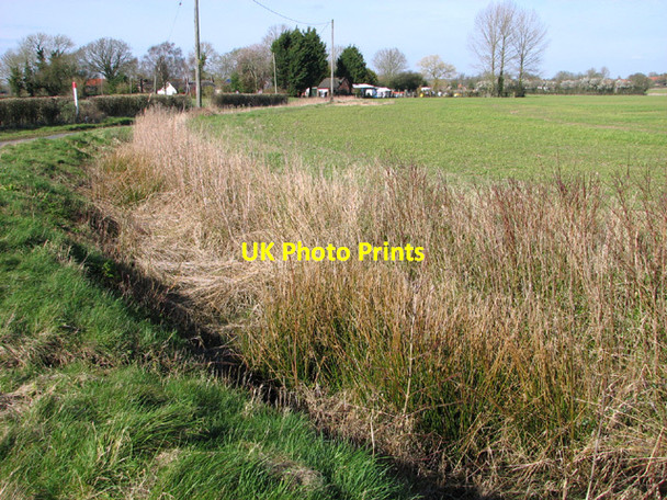 Photo 6"x4" Overgrown ditch beside Hill Road Black Carr\/TM0995 c2014