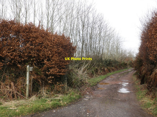 Photo 6"x4" Track on Edbrooke Hill Winsford\/SS9034 c2014