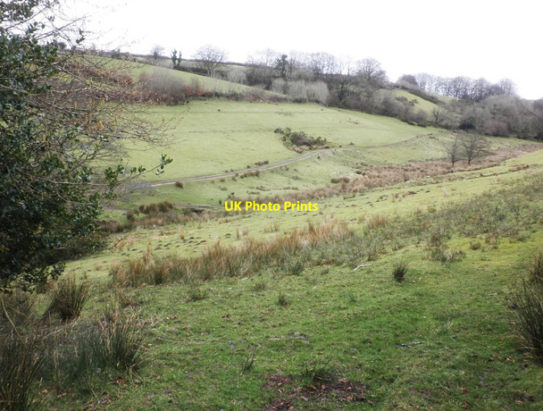 Photo 6"x4" Feeder valley, above River Exe Winsford\/SS9034 c2014