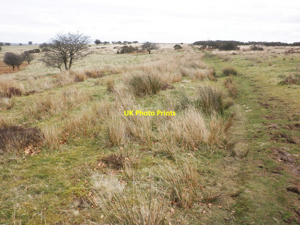 Photo 6"x4" Track on The Allotment Winsford\/SS9034 c2014