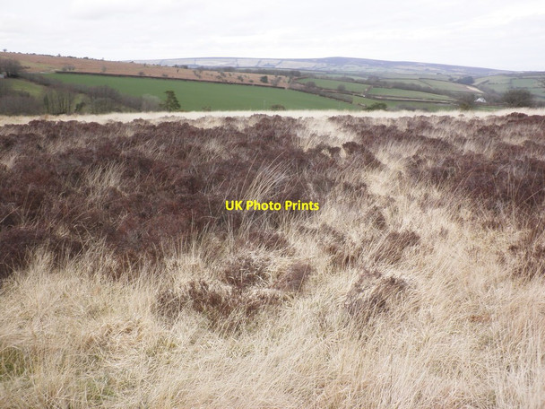 Photo 6"x4" Exmoor in winter Winsford\/SS9034 c2014