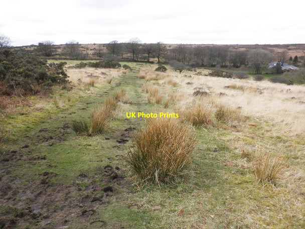 Photo 6"x4" Track towards the 'Folly' Winsford\/SS9034 c2014