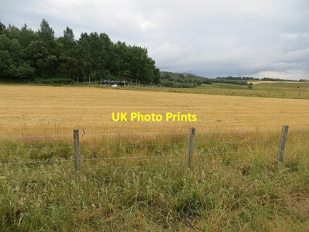 Photo 6"x4" Harvested silage Kingussie c2013