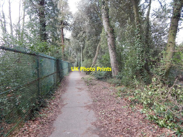 Photo 6"x4" Path in between St Joseph's College and Stone Lodge Lane Ipswich c2014