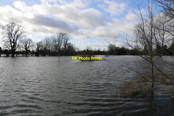 Photo 6"x4" Flood plain by the River Wallingford c2014