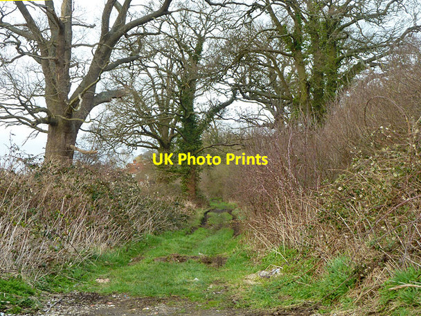 Photo 6"x4" Restricted byway to Beech Hill Beech Hill\/SU6964 c2014