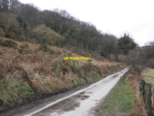 Photo 6"x4" Great Cleeve Hawkridge c2014