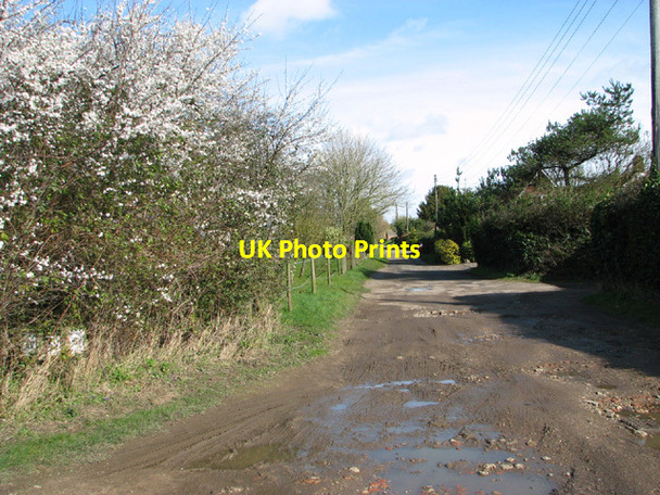 Photo 6"x4" View along Poorhouse Lane Bracon Ash c2014