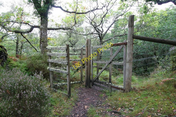 Photo 6"x4" Kissing gate and deer fence, Salen oak woods Salen\/An Sailean c2008