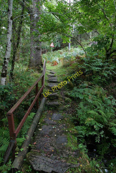 Photo 6"x4" Footbridge, Salen oak woods Salen\/An Sailean c2008