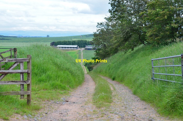 Photo 6"x4" Track to New Smailholm East Third\/NT6436 c2014