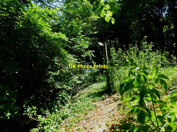 Photo 6"x4" Footpath reaches White Lane Ash Green\/SU9049 c2014