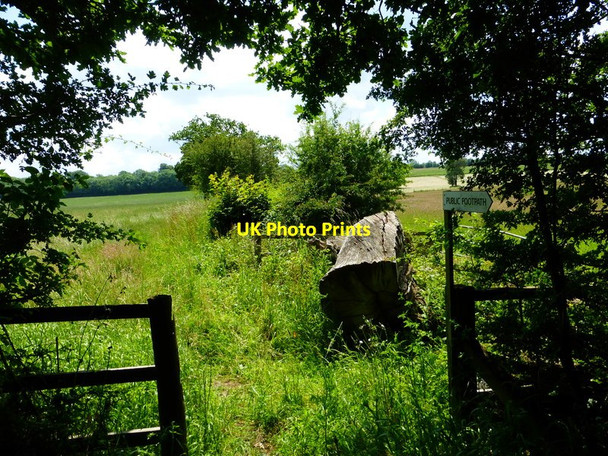 Photo 6"x4" Footpath from Poyle Farm leaves strip of woodland Seale c2014