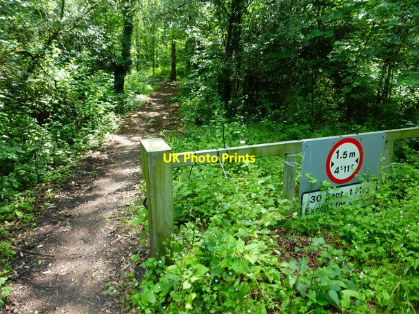 Photo 6"x4" Byway enters woodland going south from bridge over dismantled railway Ash Green\/SU9049 c2014