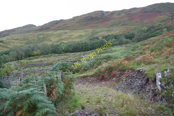Photo 6"x4" Sheep pens, Laga Laga c2008