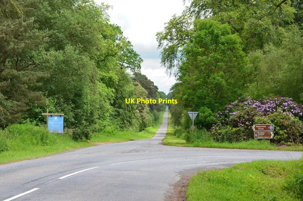 Photo 6"x4" Road junction for Mellerstain House East Third\/NT6436 c2014