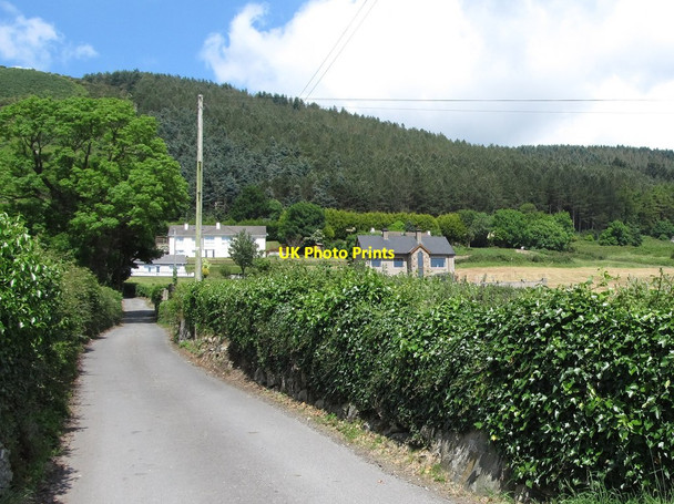 Photo 6"x4" Houses between Killowen Old Road and Ballyedmond Forest Rostrevor c2014