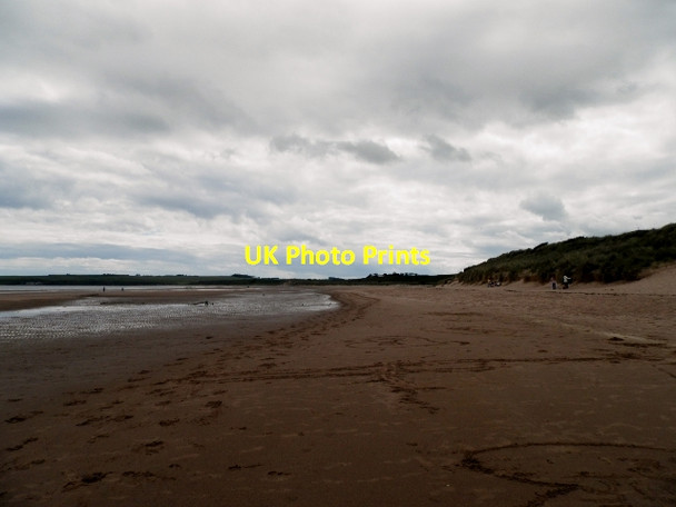 Photo 6"x4" Beach at Lunan Bay Lunan\/NO6851 c2014