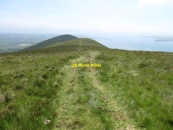 Photo 6"x4" Ridge track leading south-eastwards towards the rounded summit of Knockshee Rostrevor c2014