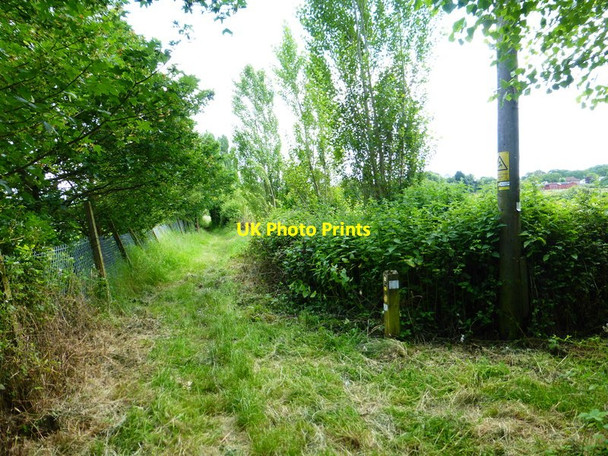 Photo 6"x4" Footpath looking south from path junction Flexford\/SU9250 c2014