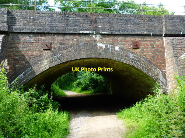 Photo 6"x4" Bridleway goes north under rail bridge Flexford\/SU9250 c2014