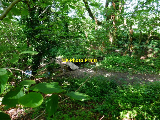 Photo 6"x4" Path crosses stream with plank bridge Wood Street Village c2014