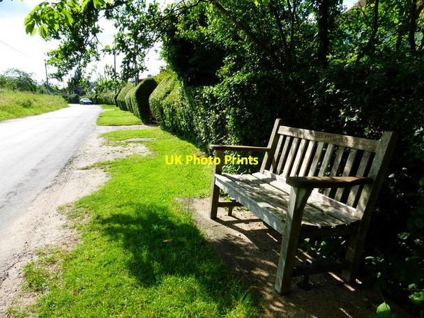 Photo 6"x4" Flexford Road with memorial seat in foreground Flexford\/SU9250 c2014