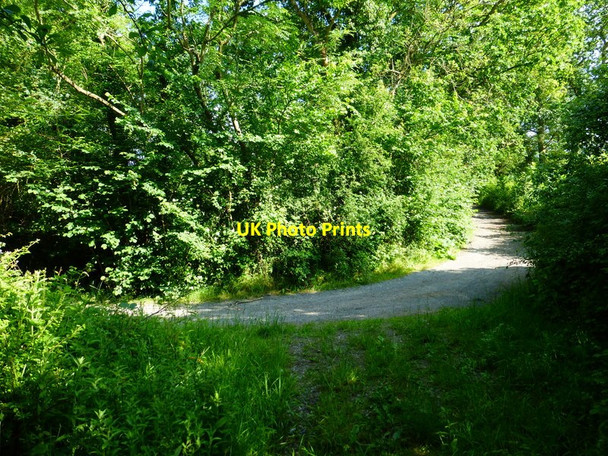 Photo 6"x4" Bend on byway by Week Wood Ash Green\/SU9049 c2014
