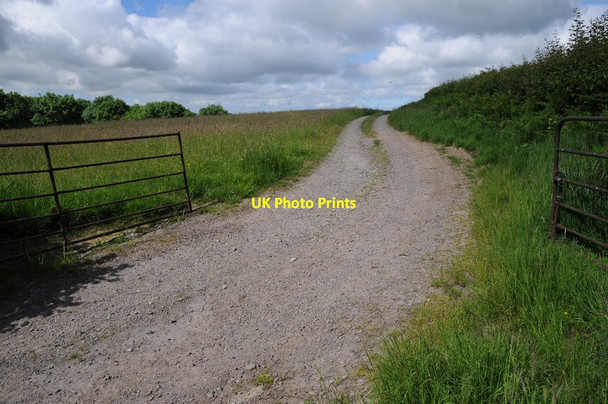 Photo 6"x4" Track to Caeau Crowther's Pool c2014