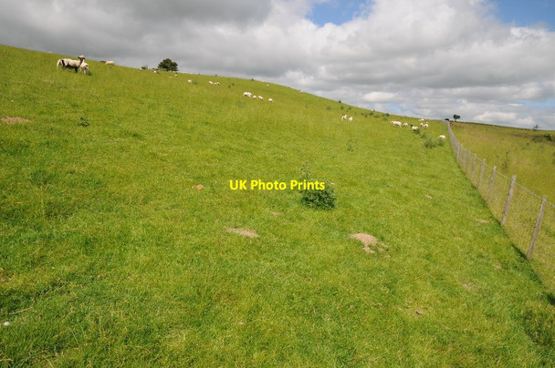 Photo 6"x4" Sheep on Clyro Hill Crowther's Pool c2014