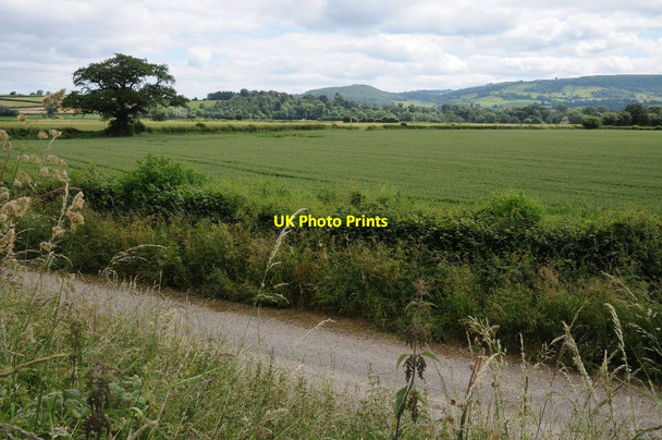 Photo 6"x4" The Wye valley near Clyro Hay-on-Wye\/Y Gelli Gandryll c2014