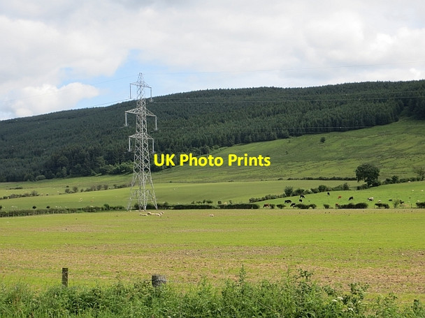 Photo 6"x4" Field, Annandale Gateside\/NY1194 c2014